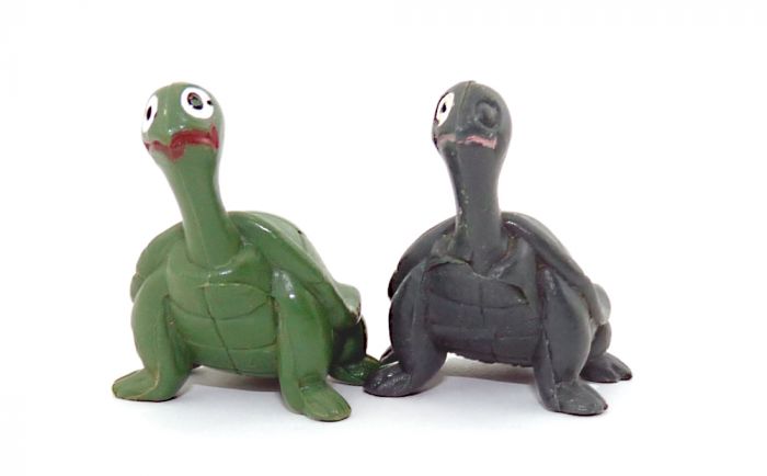 Komische alte Schildkröte. Die Schildkröte ist extrem dunkelgrün und hat nur ein Auge bemalt
