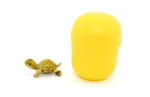 Schildkröte in klein. Farbe helloliv und Länge 28 mm