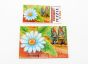 Puzzleecke unten rechts von den Blumentopfzwergen 1988 mit Beipackzettel
